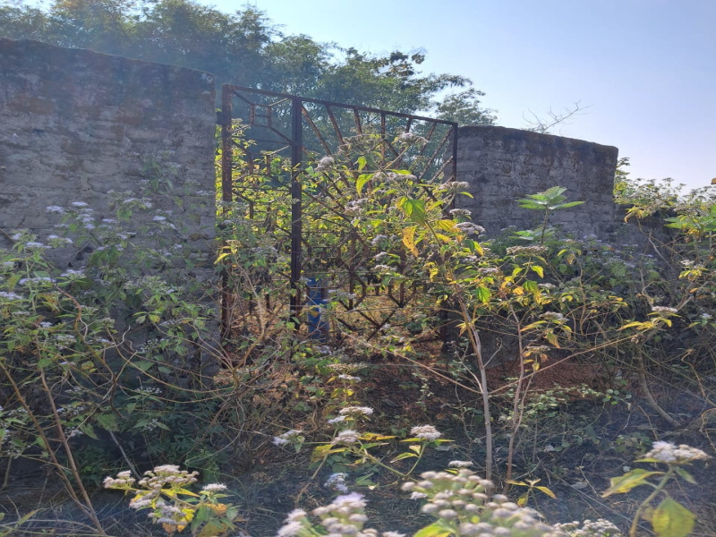  Residential Plot 3267 Sq.ft. for Sale in Baripada, Mayurbhanj