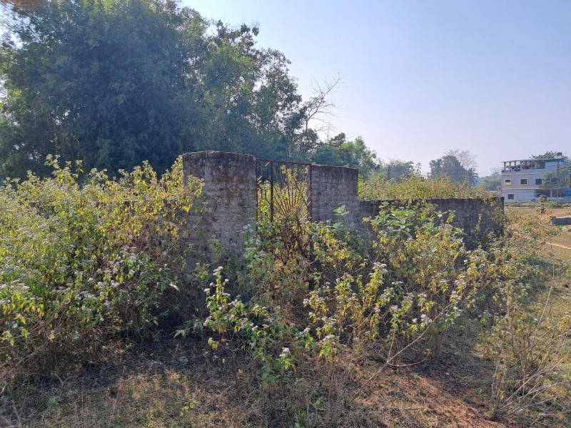  Residential Plot 3267 Sq.ft. for Sale in Baripada, Mayurbhanj