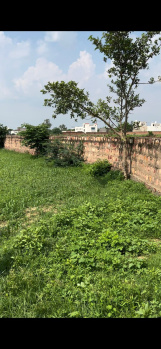  Agricultural Land for Rent in Mukherji Nagar, Bharatpur
