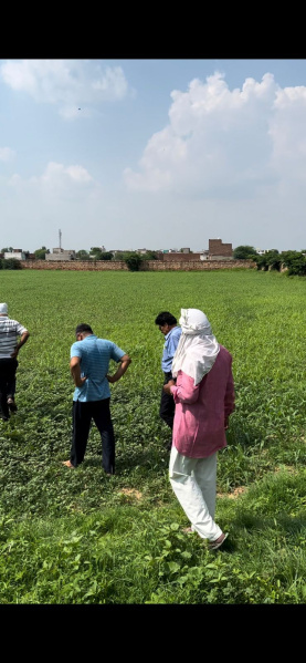  Agricultural Land 3 Bigha for Rent in Mukherji Nagar, Bharatpur