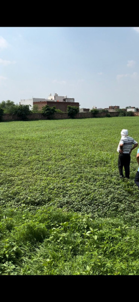  Agricultural Land 3 Bigha for Rent in Mukherji Nagar, Bharatpur