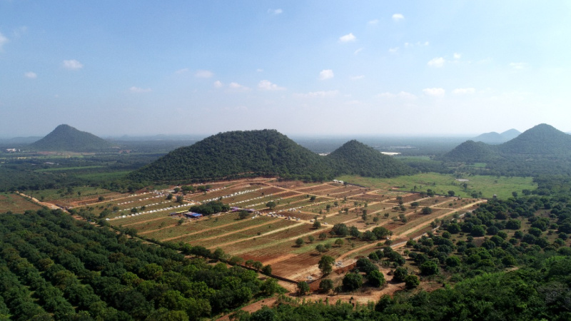  Residential Plot 165 Sq. Yards for Sale in Nuzvid, Vijayawada