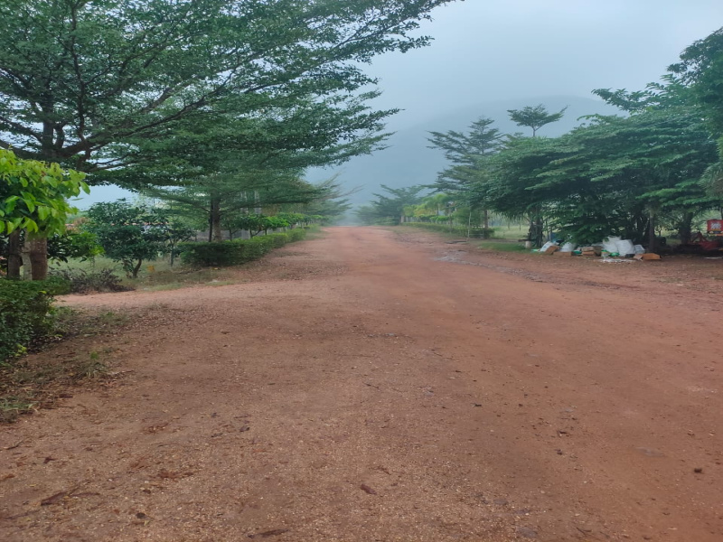  Residential Plot 165 Sq. Yards for Sale in Nuzvid, Vijayawada