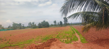  Residential Plot for Sale in Rt Nagar, Hmt Layout, Bangalore