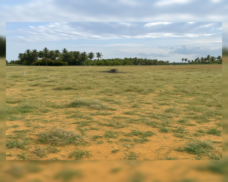  Agricultural Land 11 Sq.ft. for Sale in Vallioor, Tirunelveli