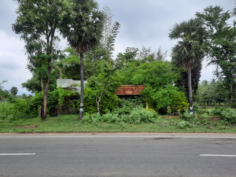  Agricultural Land 25 Cent for Sale in Sivagiri, Tirunelveli