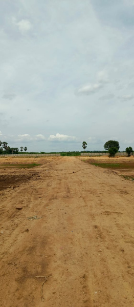  750 Sq.ft. Residential Plot for Sale in Viraganoor, Madurai