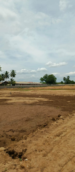  750 Sq.ft. Residential Plot for Sale in Viraganoor, Madurai