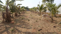 Agricultural Land for Sale in JP Darga, Kothur, Hyderabad