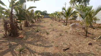  Agricultural Land for Sale in JP Darga, Kothur, Hyderabad