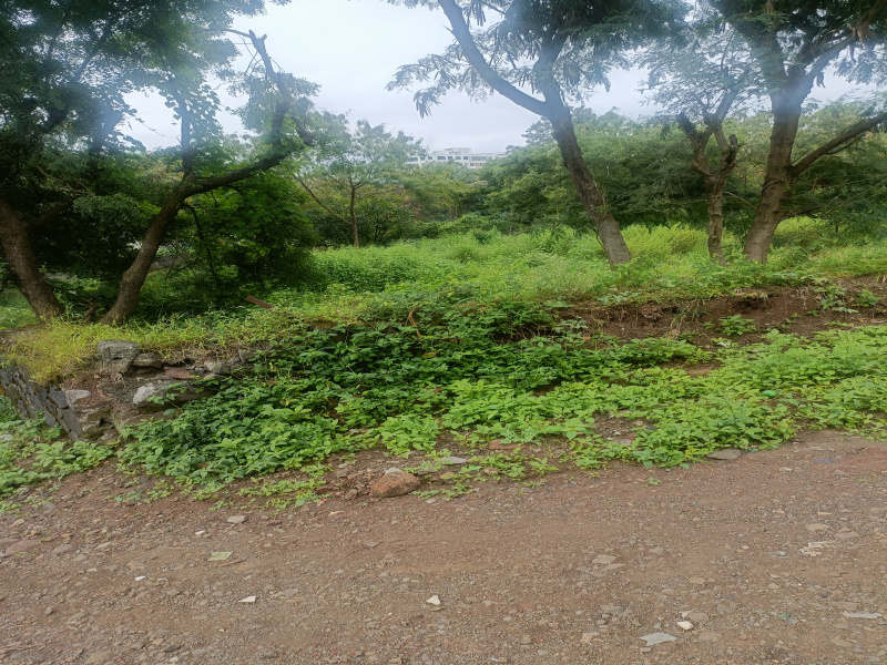  125 Guntha Residential Plot for Sale in Dhayari, Pune