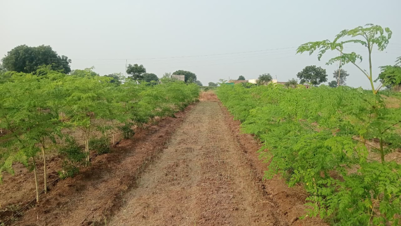  2 Acre Residential Plot for Sale in Sangamner, Ahmednagar