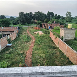  50 Dismil Residential Plot for Sale in Rampur Naikin, Sidhi