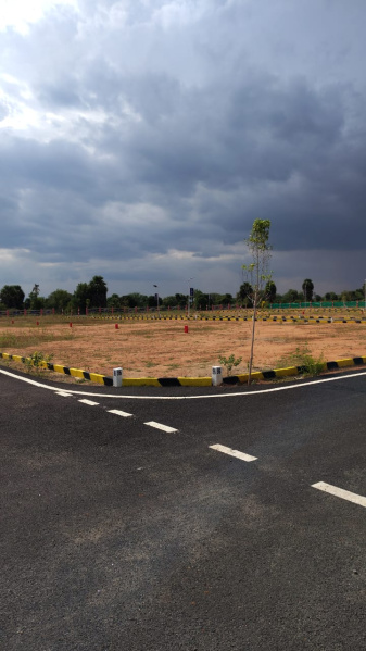  Residential Plot 3420 Sq.ft. for Sale in Balakrishnapuram, Dindigul