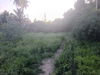  Agricultural Land for Sale in Puliyur, Karur