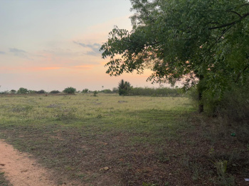  Agricultural Land for Sale in Uppidamangalam, Karur