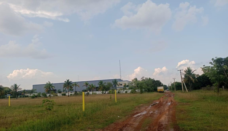  100000 Sq.ft. Residential Plot for Sale in Sriperumbudur, Kanchipuram