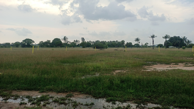  100000 Sq.ft. Residential Plot for Sale in Sriperumbudur, Kanchipuram