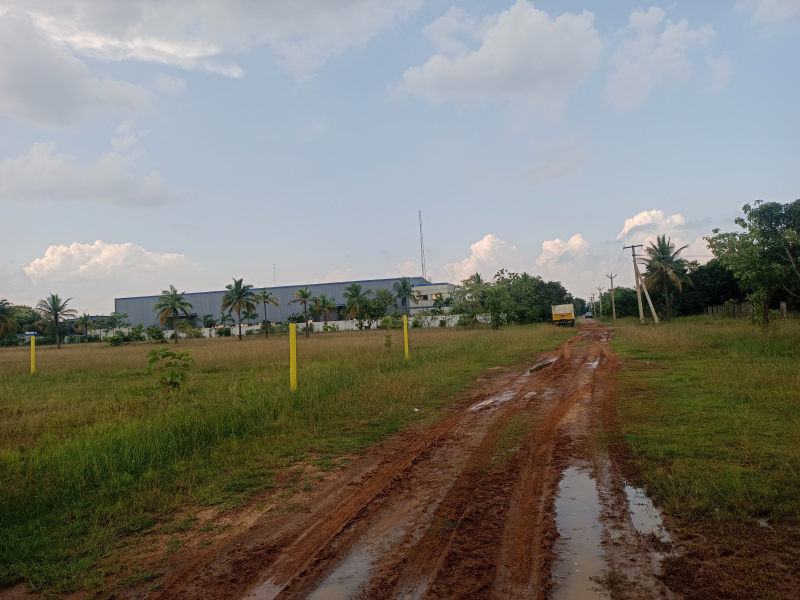  100000 Sq.ft. Residential Plot for Sale in Sriperumbudur, Kanchipuram