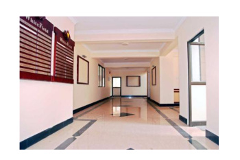 2 BHK Flat for Rent in Kaloor, Kochi