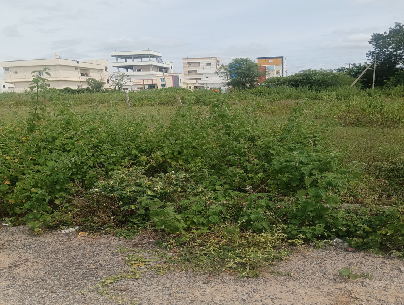  183 Sq.ft. Residential Plot for Sale in Pothreddipalle, Sangareddy