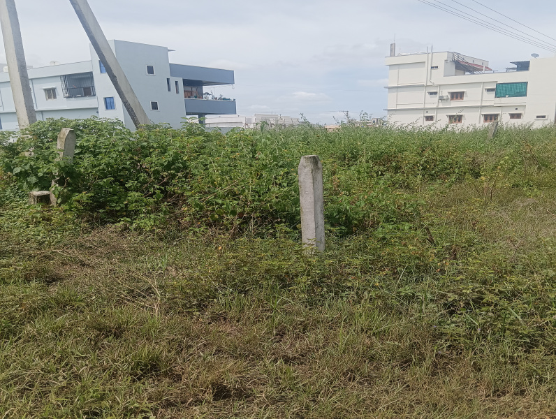  183 Sq.ft. Residential Plot for Sale in Pothreddipalle, Sangareddy