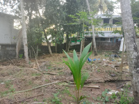  Residential Plot for Sale in Pappanamcode, Thiruvananthapuram