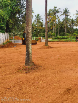  Residential Plot for Sale in Ollur, Thrissur