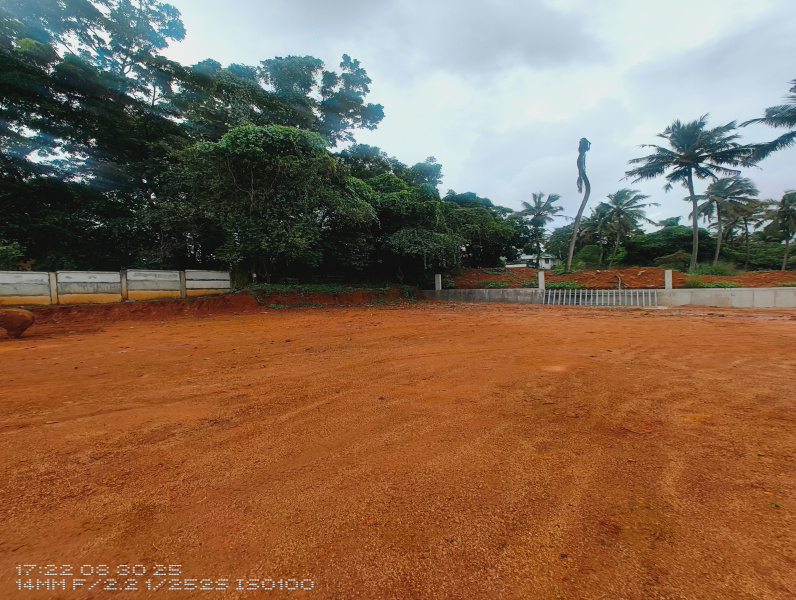  10 Cent Residential Plot for Sale in Ollur, Thrissur