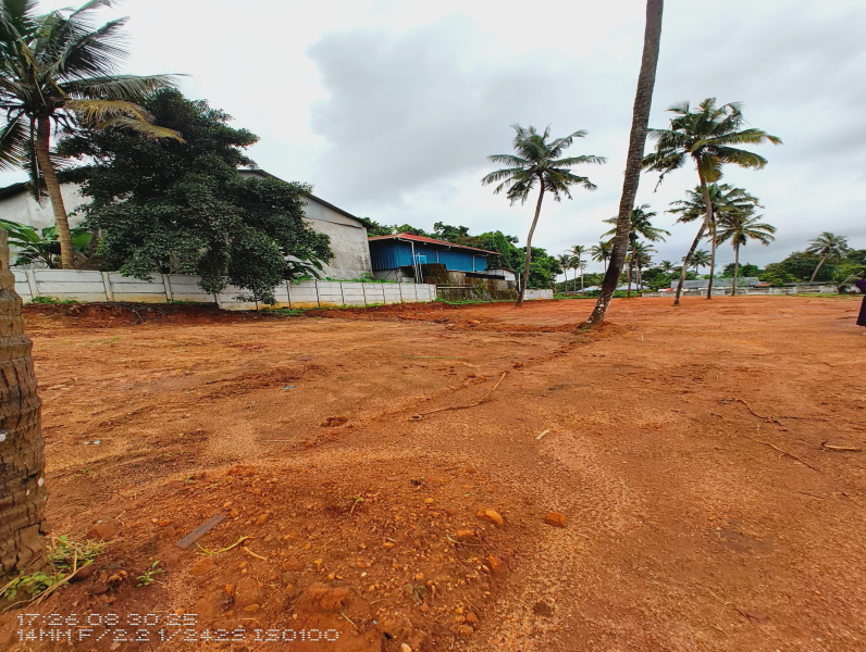  10 Cent Residential Plot for Sale in Ollur, Thrissur
