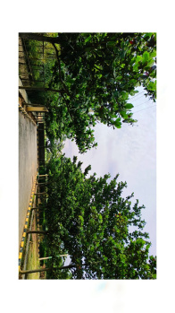  Residential Plot for Sale in Soukya Road, Bangalore