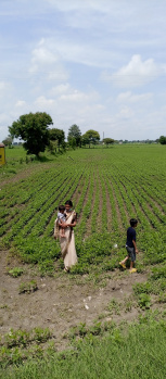  Agricultural Land for Rent in Sanwer, Indore