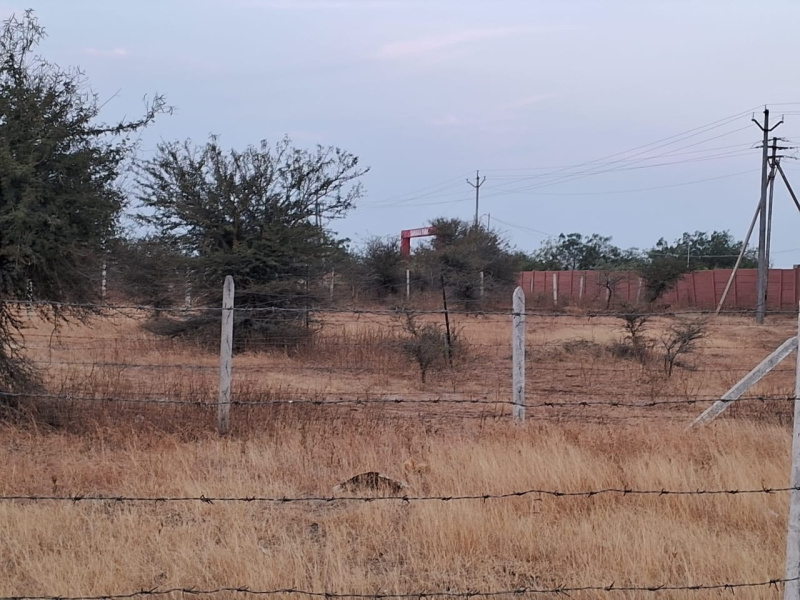  1460 Sq.ft. Residential Plot for Sale in Soregaon, Solapur, 