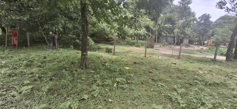  10 Katha Residential Plot for Sale in Mainaguri, Jalpaiguri