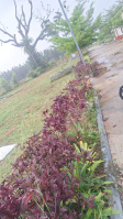 Residential Plot for Sale in Anekal Road, Bangalore