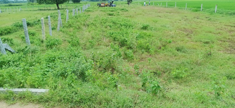  11 Guntha Agricultural/Farm Land for Sale in Malkapur Road, Karimnagar