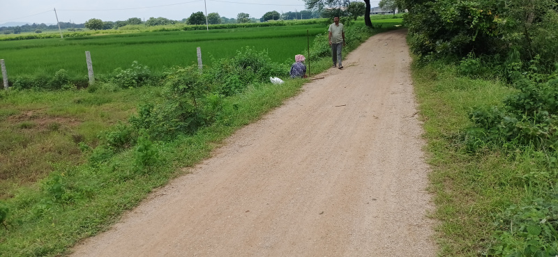  11 Guntha Agricultural/Farm Land for Sale in Malkapur Road, Karimnagar