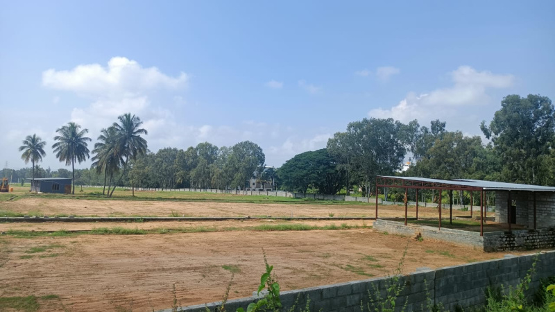  1200 Sq.ft. Residential Plot for Sale in Bidadi, Bangalore