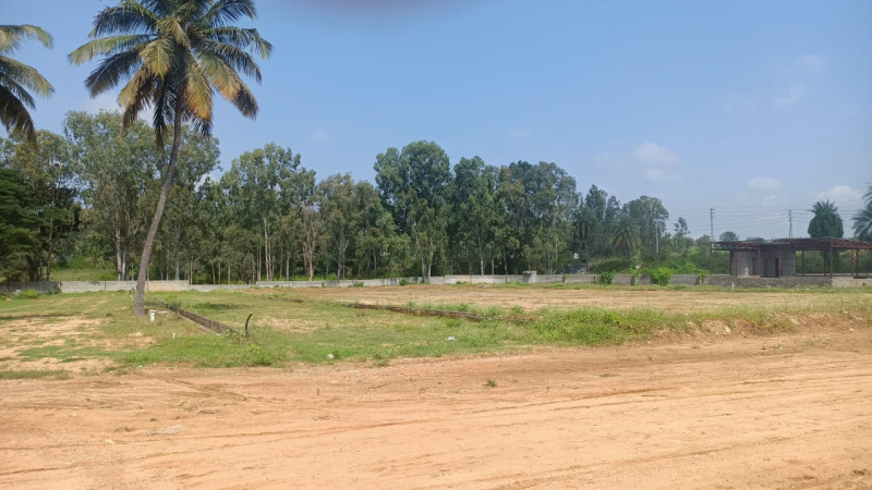  1200 Sq.ft. Residential Plot for Sale in Bidadi, Bangalore