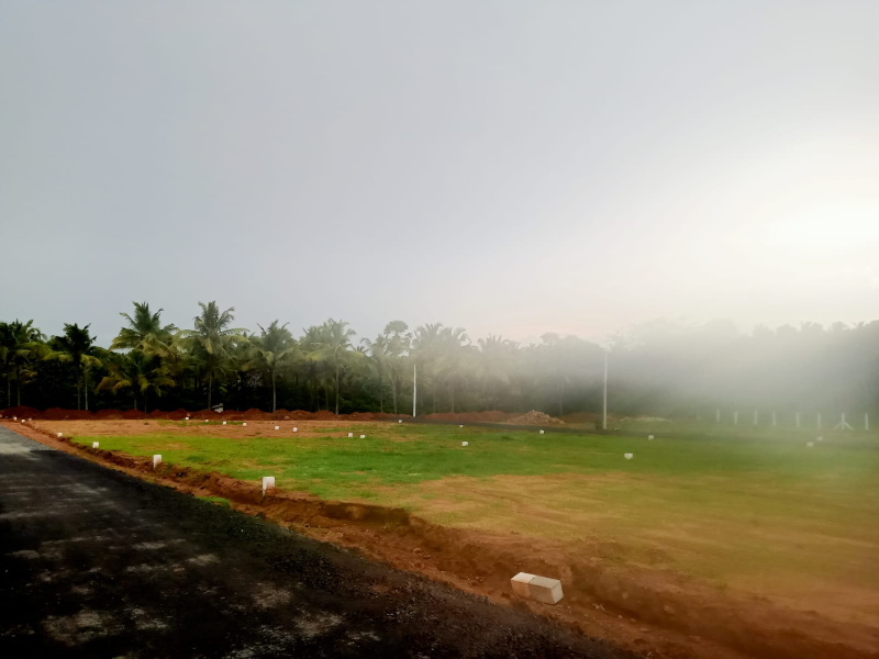  3 Cent Residential Plot for Sale in Kinathukadavu, Coimbatore