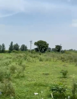  Residential Plot for Sale in Bhangel, Greater Noida