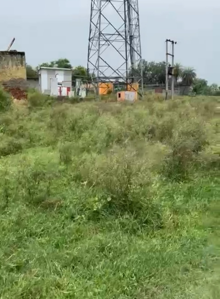  8 Bigha Residential Plot for Sale in Bhangel, Greater Noida