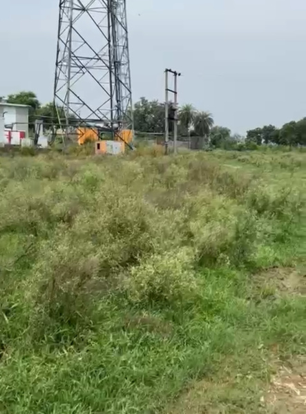  8 Bigha Residential Plot for Sale in Bhangel, Greater Noida