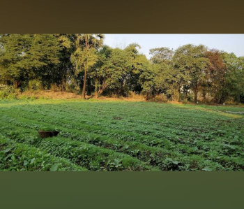  Residential Plot for Sale in Panvel, Navi Mumbai