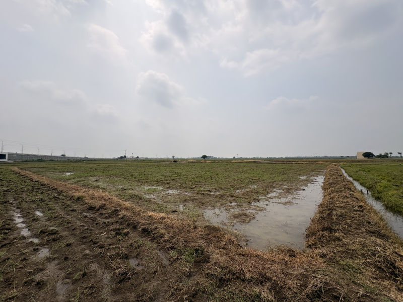  61 Cent Agricultural/Farm Land for Sale in Panjapur, Tiruchirappalli