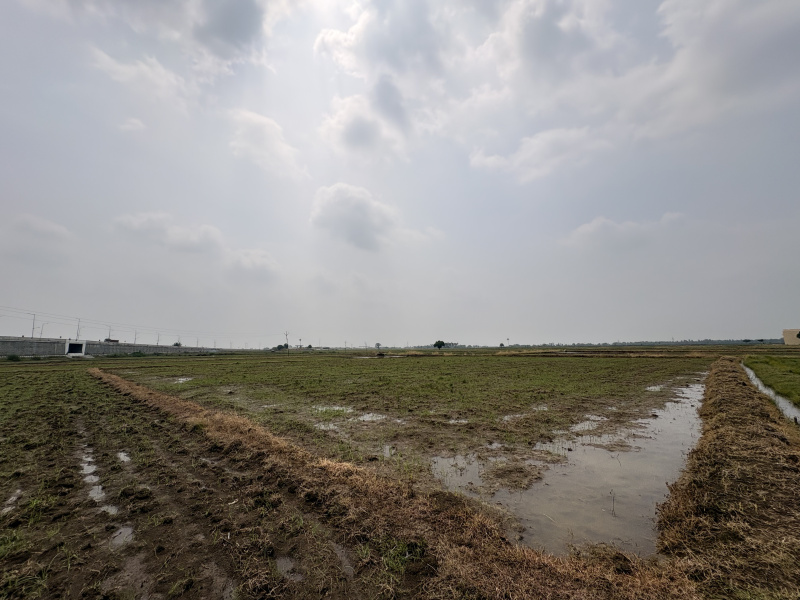  61 Cent Agricultural/Farm Land for Sale in Panjapur, Tiruchirappalli