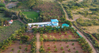  Agricultural Land for Sale in Sirumugai, Coimbatore