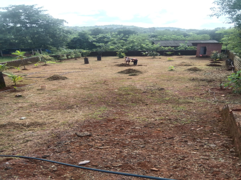  10890 Sq.ft. Residential Plot for Sale in Kuwarbav, Ratnagiri