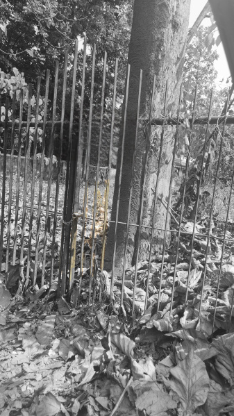  18 Cent Commercial Land for Sale in Ettumanoor, Kottayam