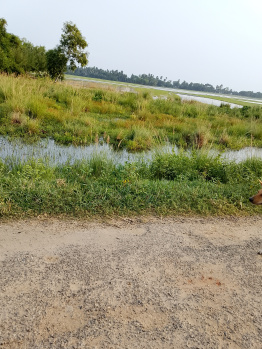  Agricultural Land for Sale in Brahmagiri, Puri